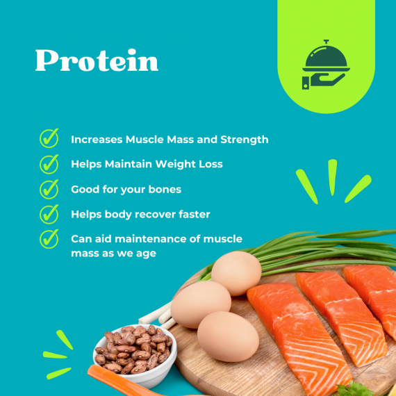 Focusing on daily Protein for exercise Club Gym Wellness